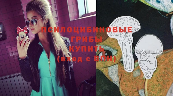 стафф Алексеевка