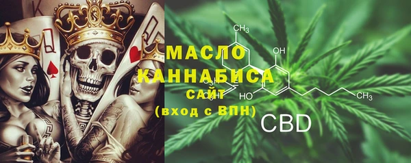 ECSTASY Алзамай