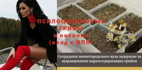 хмурый Алексин