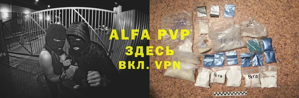 хмурый Алексин