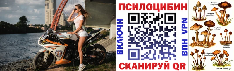 Галлюциногенные грибы MAGIC MUSHROOMS  наркотики  Ардон 